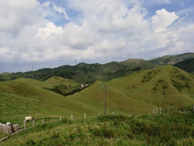 남산목장