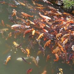 Yuquanyuan User Photo
