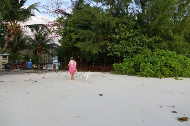 Anse Volbert Beach