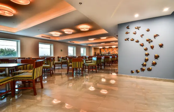 Holiday Inn Express 洛斯卡波斯