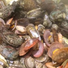 宝龙大锅海鲜(栈桥店) User Photo