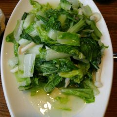 重返白桦林花园餐厅 User Photo