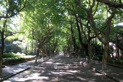 McDonald's (jiaozhouliqun)