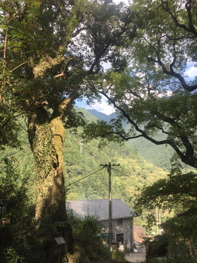 官浦垟村