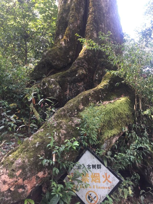 官浦垟村