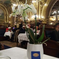Le Train Bleu User Photo