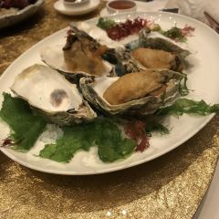 Jade Dragon User Photo