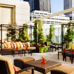 Shanghai Terrace張用戶圖片
