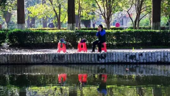 這裏的公園景色迷人，四季如春，真的不錯，在這裏周圍的人每天都