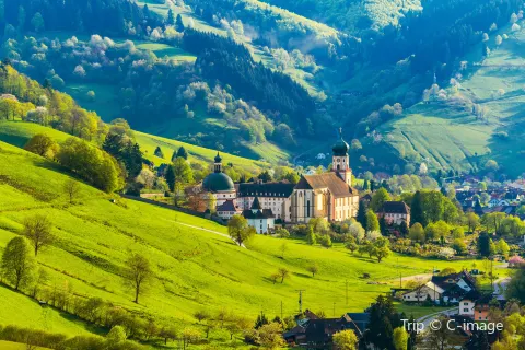 Schwarzwald