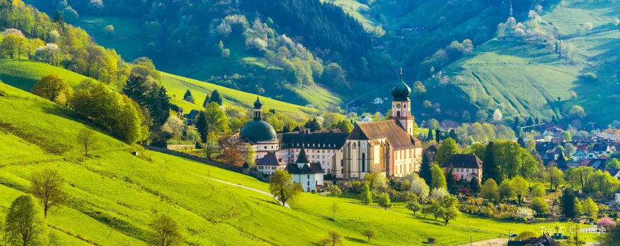 Black Forest