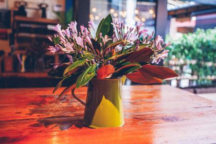 Burger Burger Ponsonby