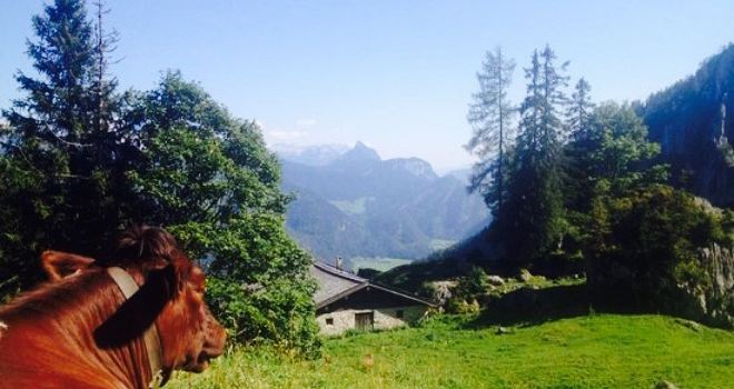 Gasthof Krepper