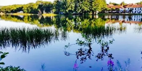 Watermark Restaurant