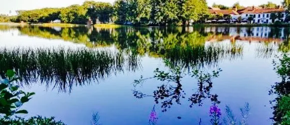 Watermark Restaurant