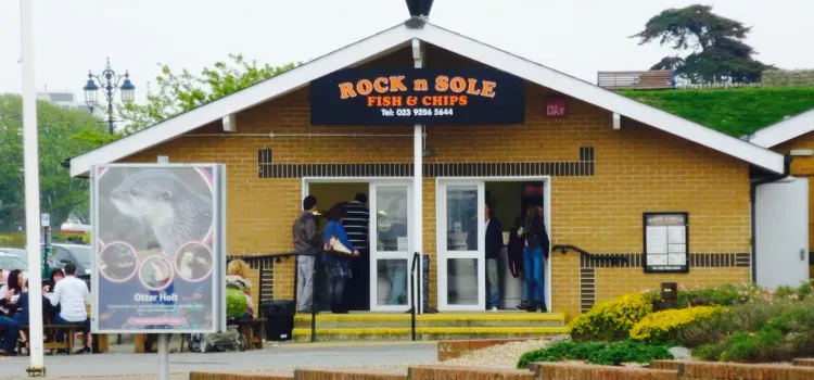 Rock N Sole