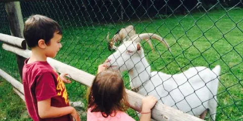 Brunnenhof in der Ried