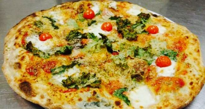 Pizza Service Fly
