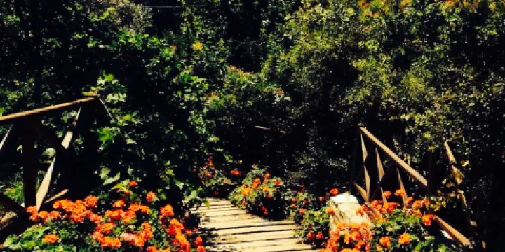 Sirince'm Sakli Vadi