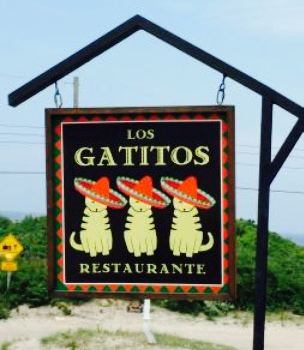 Los Gatitos