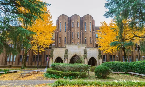 東京大學