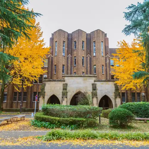 東京の紅葉の名所・トップ20