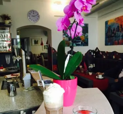 Cafe Pizzeria Central