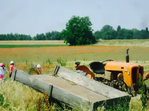 Agriturismo Cascina Bodriazzo