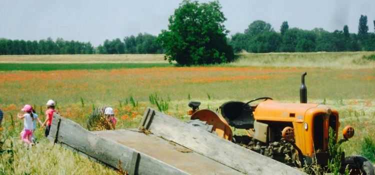 Agriturismo Cascina Bodriazzo