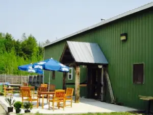 The Nostalgia Tavern