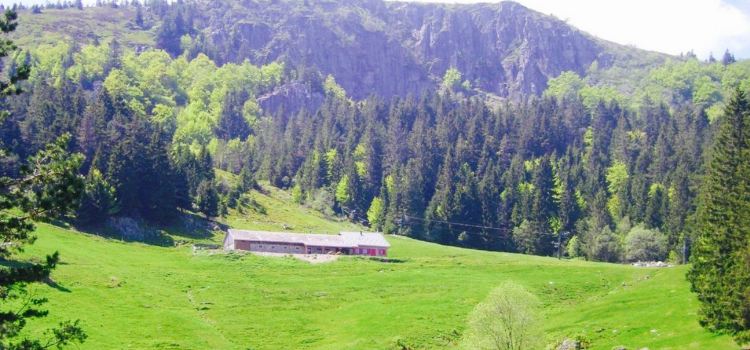 Auberge du Tanet "Seestaedtle"