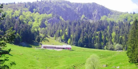 Auberge du Tanet "Seestaedtle"