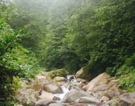 Andon Memisoglu Dinlenme Tesisleri