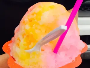 Fujino Shave Ice