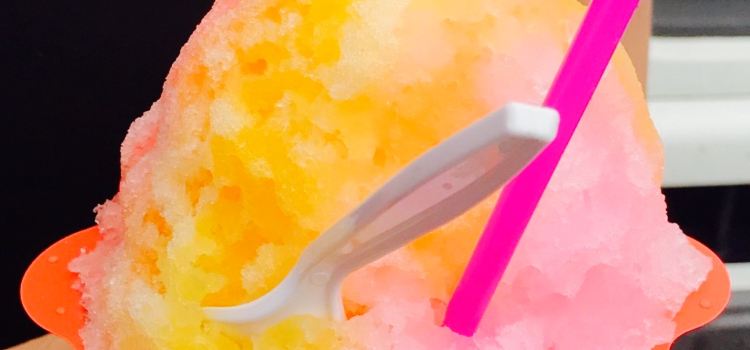 Fujino Shave Ice