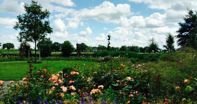 De tintel tuin