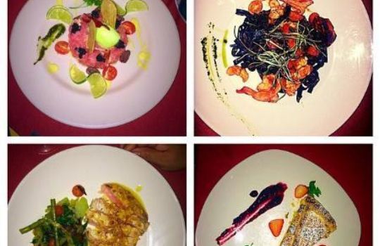 Bistro Le Cousteau