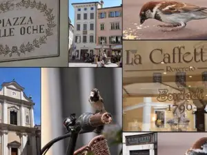 La Caffetteria Bontadi