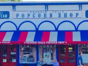 Popcorn Shop Factory