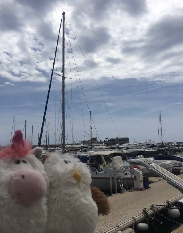 Larvotto Beach