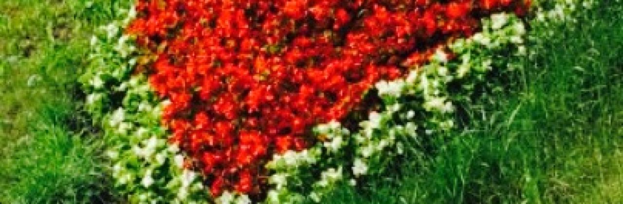 Hotel Restaurant Zur Post