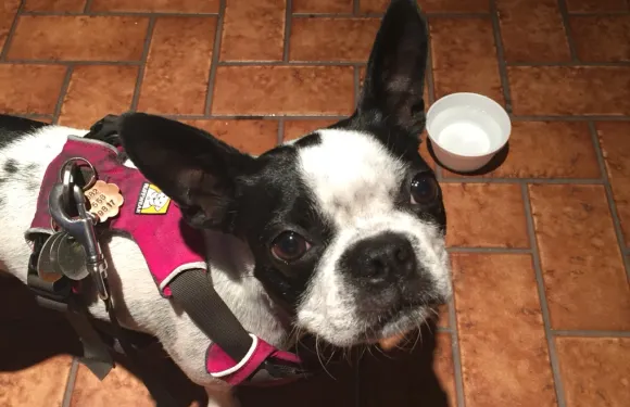 Gigi's Italian Restaurant