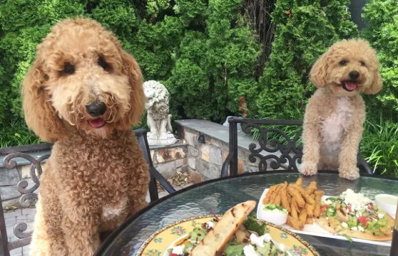 Lightfoot Restaurant