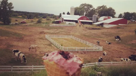 Moomers Homemade Ice Cream