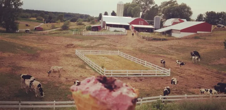 Moomers Homemade Ice Cream