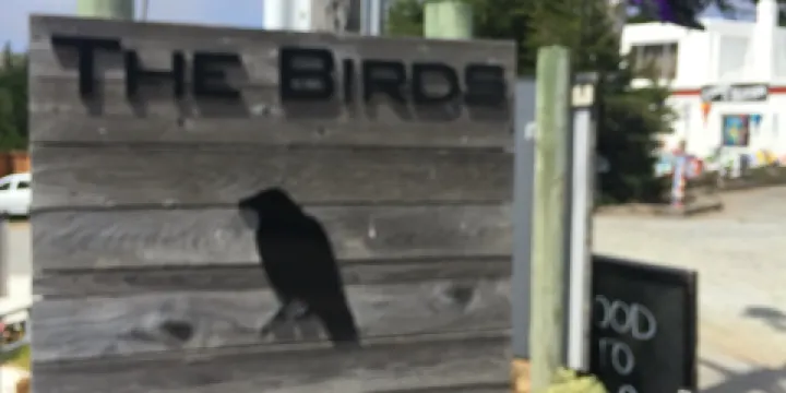 The Birds Cafe