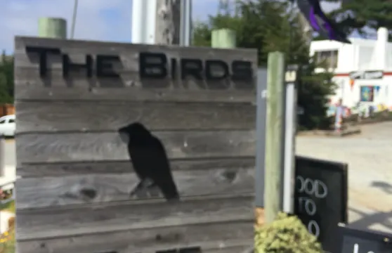 The Birds Cafe
