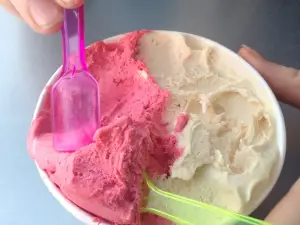 Frost Gelato at SanTan Village