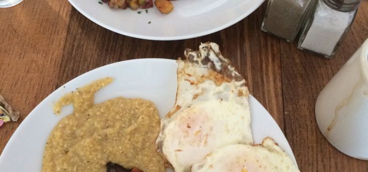 Surf House Oyster Bar & Surf Camp