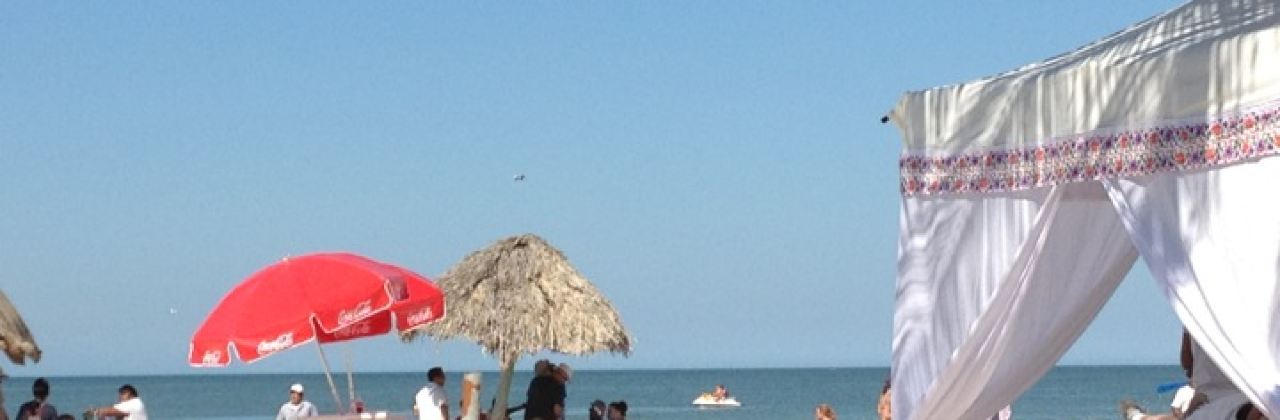 Eladios Bar Progreso